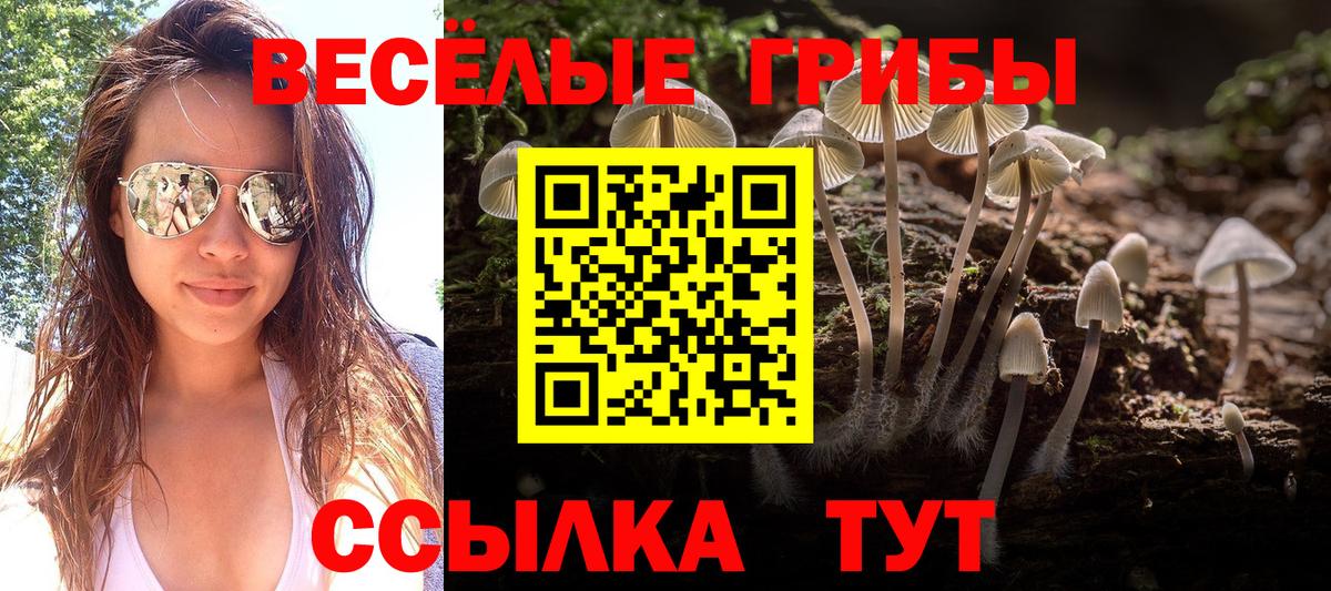 Галлюциногенные грибы Magic Shrooms  Вход с VPN  Шадринск 